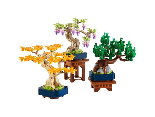 10373-lego-colecao-botanica-mini-arvore-bonsai -9-